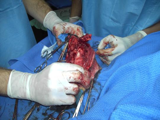 Lyssbachs Vétérinaires sans Frontières