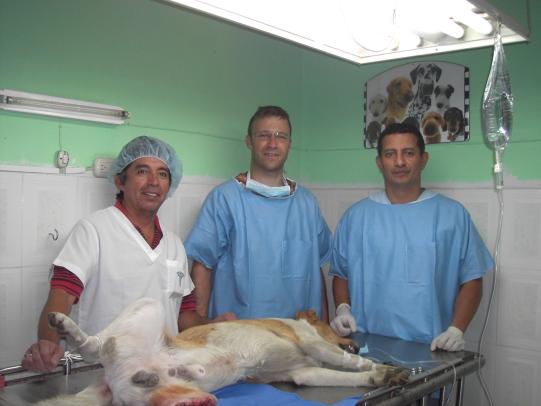 Lyssbachs Vétérinaires sans Frontières