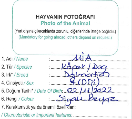 Reisepass: Personalien des Hundes