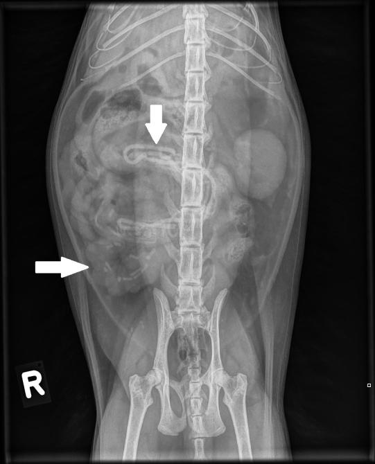 Röntgendichte lineare Fremdkörper