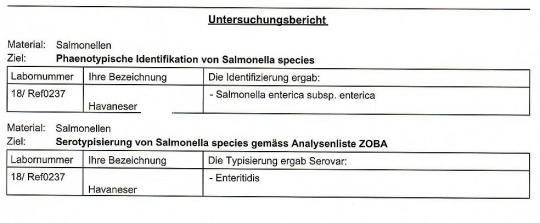 CSM Uni Bern Anonym kurz