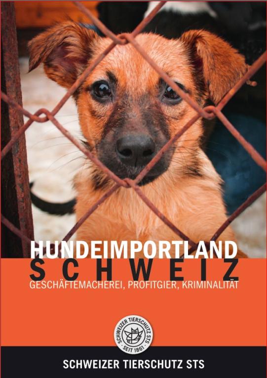 Hundeimportland Schweiz STS