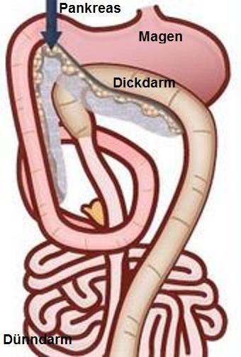 Copyright: Tamara Rees / VIN 2014