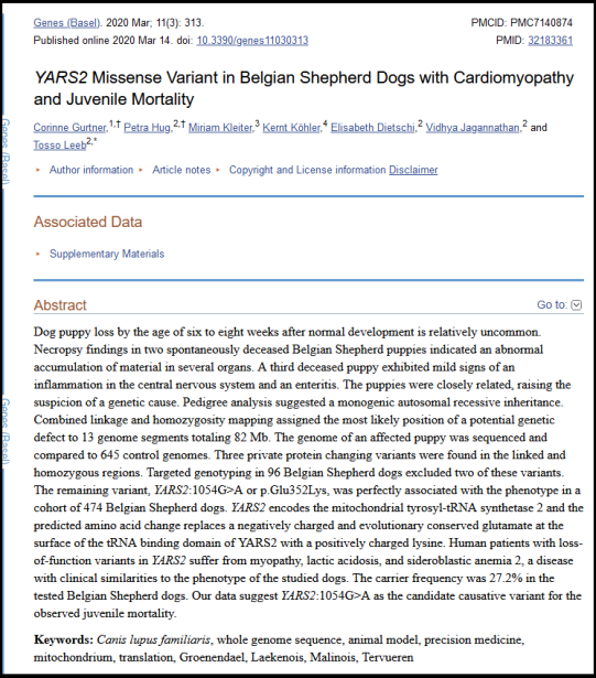 Kurzzusammenfassung der Forschungsarbeit